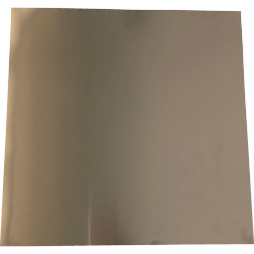 TRUSCO Shim Plate Stainless Steel 0.3 x 50 x 100 mm SISUS0.3-50-100 1 piece