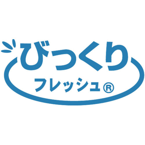サンコー　洗ってふきとるクリーナー　BF-59　1 Ｓ