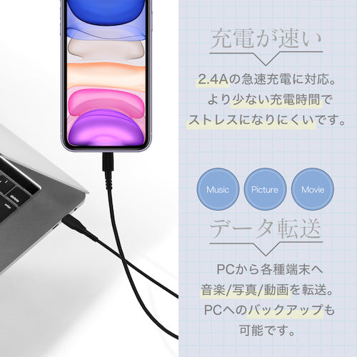 Ｏｗｌｔｅｃｈ　Ｌｉｇｈｔｎｉｎｇケーブル次世代超タフケーブル２００ＣＭブラック　OWL-CBALA20-BK　1 本