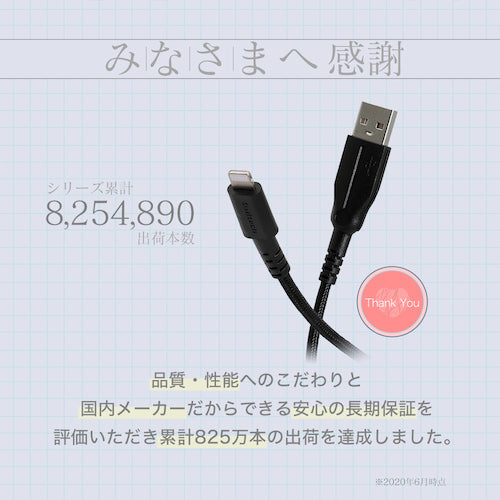 Ｏｗｌｔｅｃｈ　Ｌｉｇｈｔｎｉｎｇケーブル次世代超タフケーブル１００ＣＭブラック　OWL-CBALA10-BK　1 本