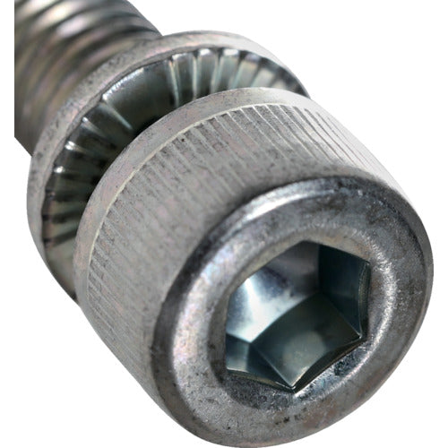 TRUSCO Hexagonal Socket Head Bolt with Anti-Loosening Function Trivalent Chromate M12X45L 1pc / Cap Bolt (CAP) WVL-1245TC 1pc