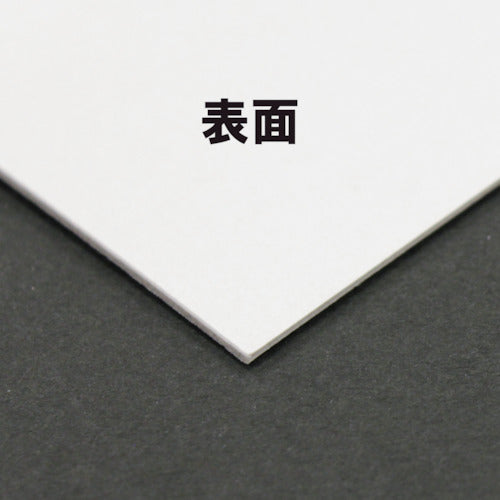 킹 코포 에코 볼 A4판 217×306mm 100장입 EBA4100 1 PK