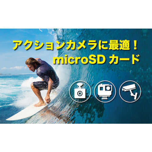 タジマモーター　ＭＡＸ　Ｐｅｒｆｏｒｍａｎｃｅ　ＭｉｃｒｏＳＤ　６４ＧＢ　ADTAG-64G　1 個
