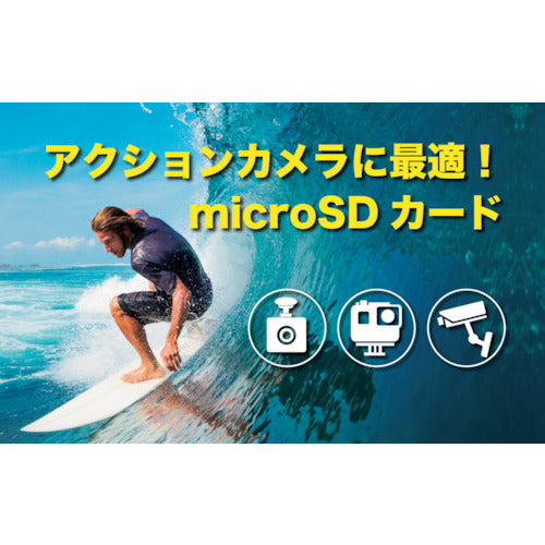 タジマモーター　ＭＡＸ　Ｐｅｒｆｏｒｍａｎｃｅ　ＭｉｃｒｏＳＤ　２５６ＧＢ　ADTAG-256G　1 個