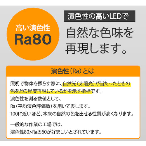 ＩＲＩＳ　５３７８５９　ＰＲＯＬＥＤＳ　ＬＥＤワークライトワイドパネル（防水仕様）ベースタイプ　ＬＷＴ−１００００Ｂ−ＷＰ　LWT-10000B-WP　1 台