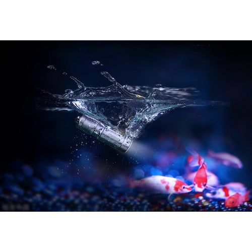 FENIX LED Light E02 E02RBLUE 1 piece