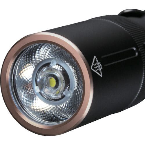 ＦＥＮＩＸ　ＬＥＤライト　Ｅ２０Ｖ２　E20 V2　1 個