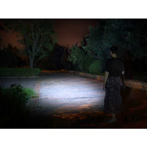 ＦＥＮＩＸ　ＬＥＤライト　Ｅ０２　E02RBROWN　1 個