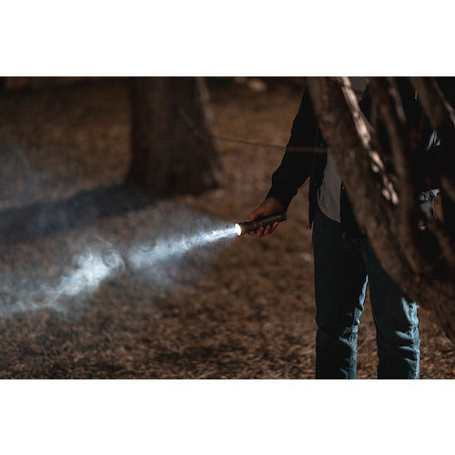 NEBO Rechargeable LED Light FRANKLIN PIVOT RC NEB-WLT-0023-G 1 piece