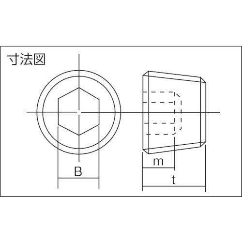 ＴＲＵＳＣＯ　テーパー沈みプラグ（ＳＰ４）　サイズＰＴ３／４　ステンレス　２個入　B84-0314　1 PK