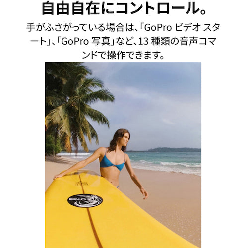 GoPro 360 degree camera "MAX" CHDHZ-202-FX 1 S