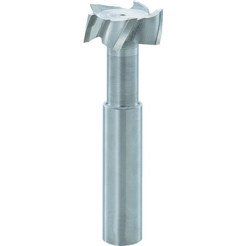 FKD T-slot end mill 22x7 TSE22X7 1 piece