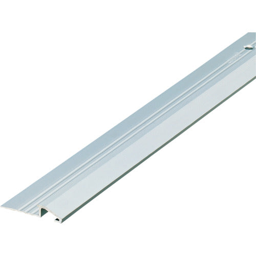 ASSIST Divide Edge Floor Hardware with Holes, Silver, Standard Length 2m, 20-410S22, 1 Piece