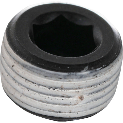 TRUSCCO 테이퍼 플러그 가라 앉은 드라이 씰 PT3/8 40개입 헥사곤 팩 S076-0308 1캔