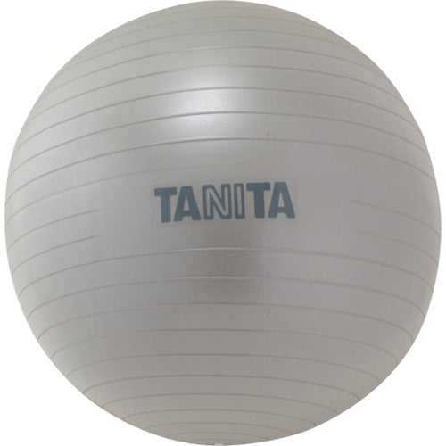 TANITA 짐볼 TS-962-SV TS-962-SV 1개