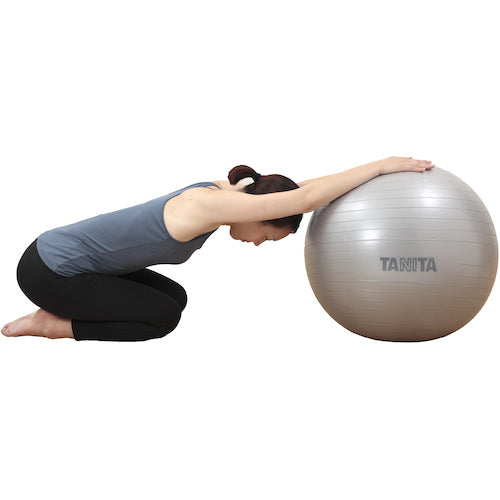 ＴＡＮＩＴＡ　ジムボール　ＴＳ−９６２−ＳＶ　TS-962-SV　1 個