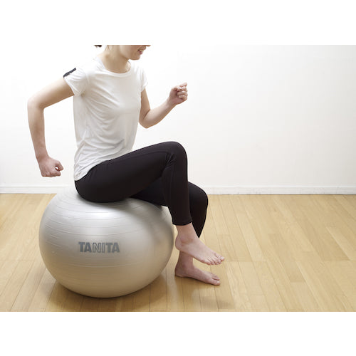 ＴＡＮＩＴＡ　ジムボール　ＴＳ−９６２−ＳＶ　TS-962-SV　1 個