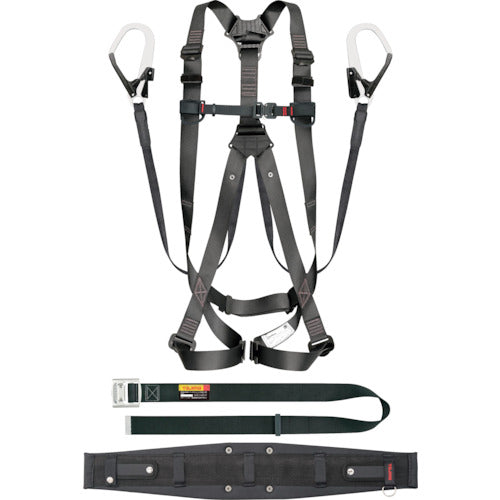 タジマ　セグネス　３０１　Ｌ　SEGNES301L　1 本