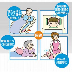 冷暖坊　本体のみ / ピローカバー、ケースなし　1 ケース(14個入)