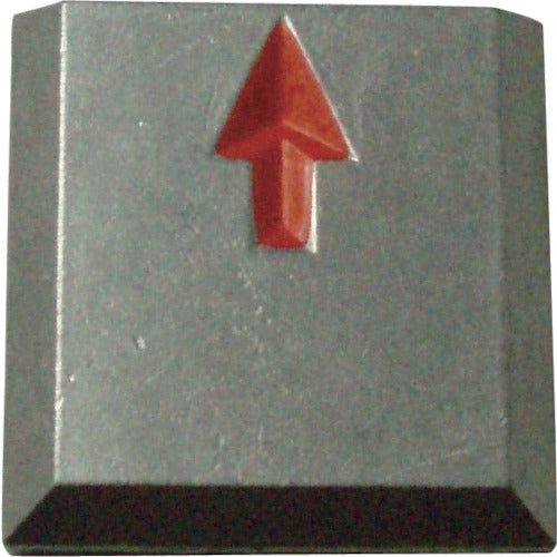 TRUSCCO 클리어 라인 매입식 (3장입) TCL-17 1 PK