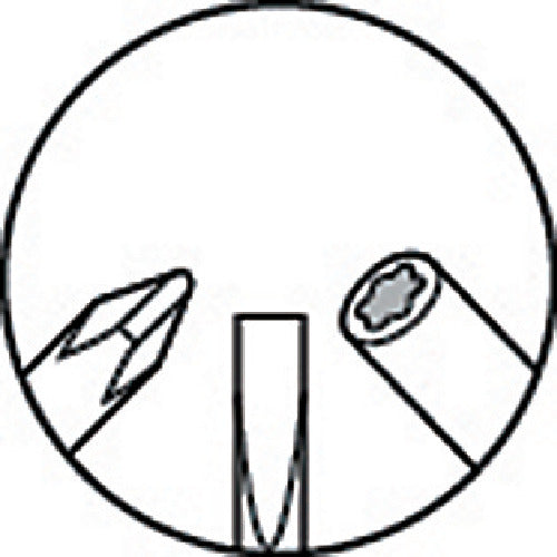 アネックス　キーホルダー付メガネ用精密ドライバー　80　1 本