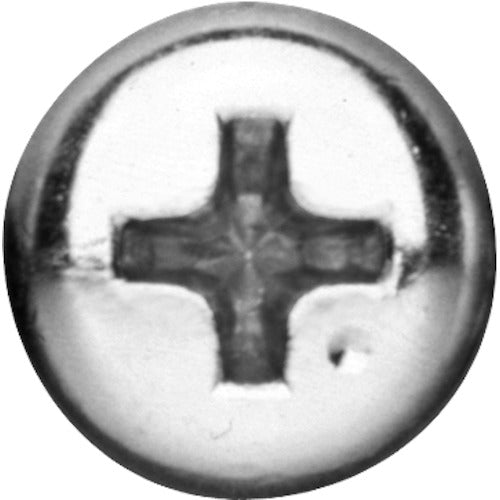 ANNEX Grip Driver, Vis Breaker Driver, Wanidora, Cutting Edge +2 x Shaft Length 100mm, Total Length 219mm, 3960-2-100, 1 Piece