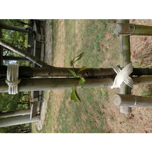 TRUSCO Cotton Rope, 3-strand, Wire diameter 6mm x Length 200m, R-6200M, 1 roll