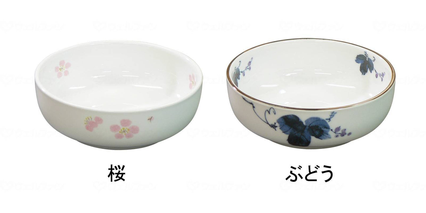 메이플 오카루의 키모치 코하치 45 벚꽃