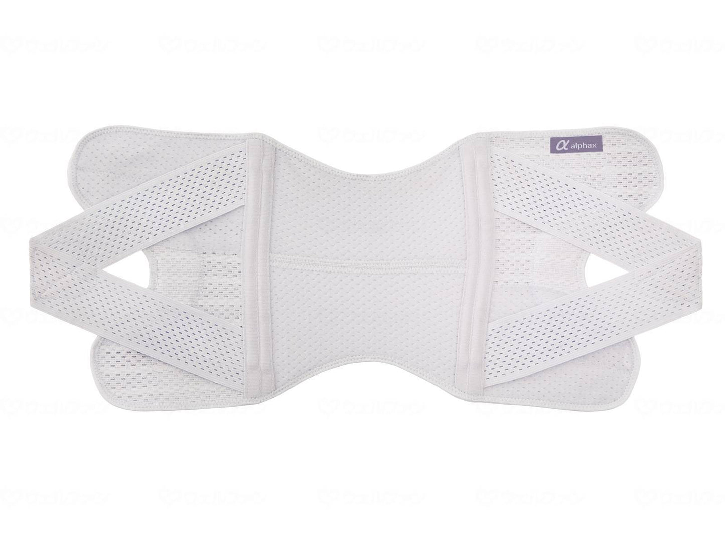 Alphax Doctor's sturdy knee belt L