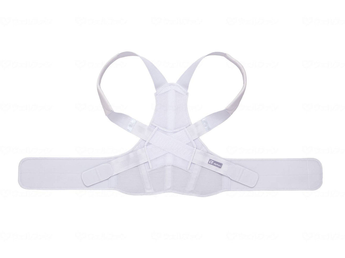 Alphax Doctor's Sturdy Back Belt ML