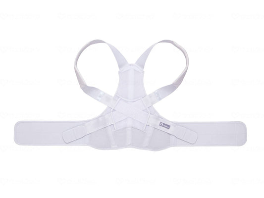 Alphax Doctor's Sturdy Back Belt ML