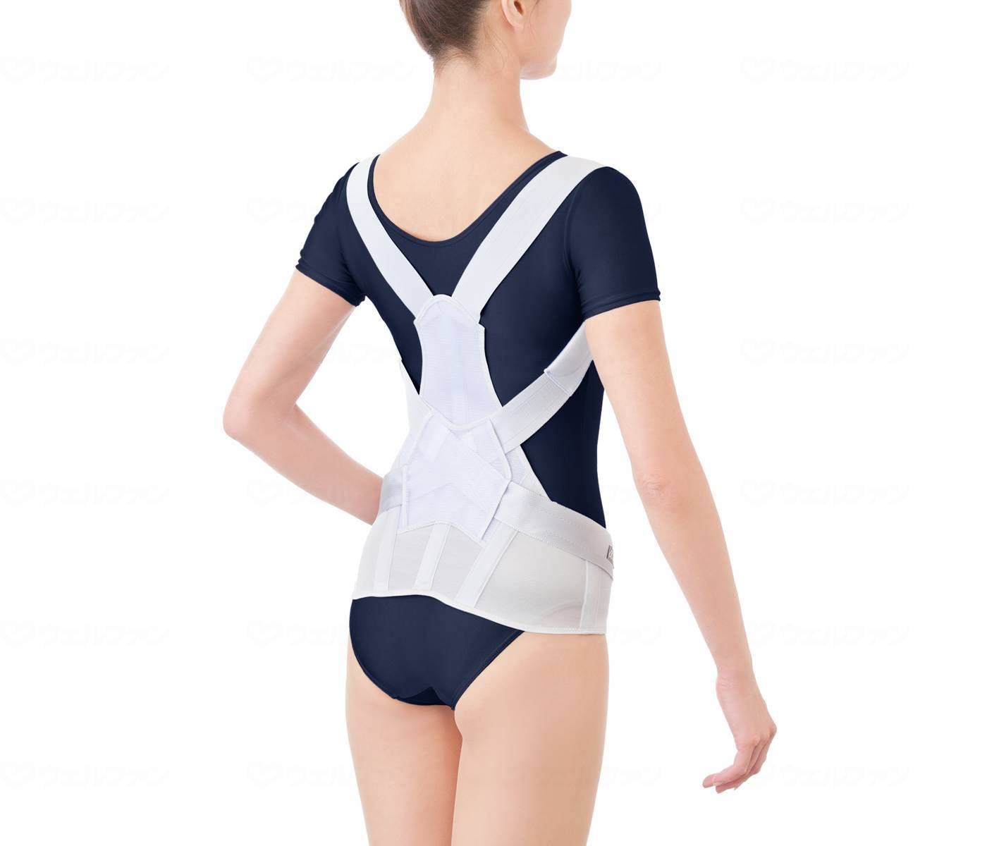 Alphax Doctor's Sturdy Back Belt ML