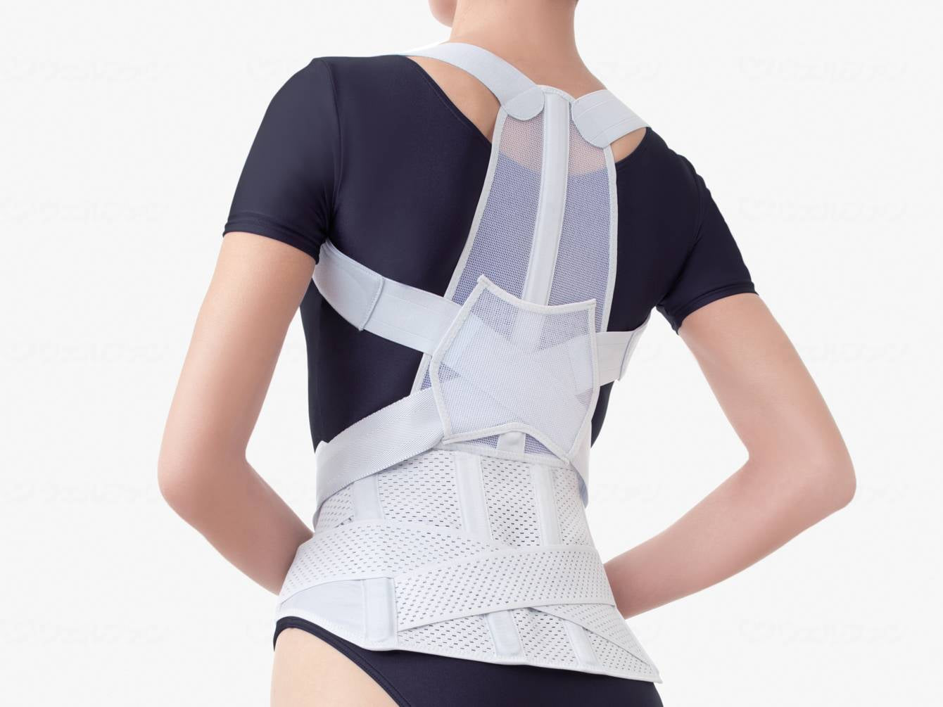 アルファックスお医者さんの腰から正す姿勢ﾍﾞﾙﾄ M-L