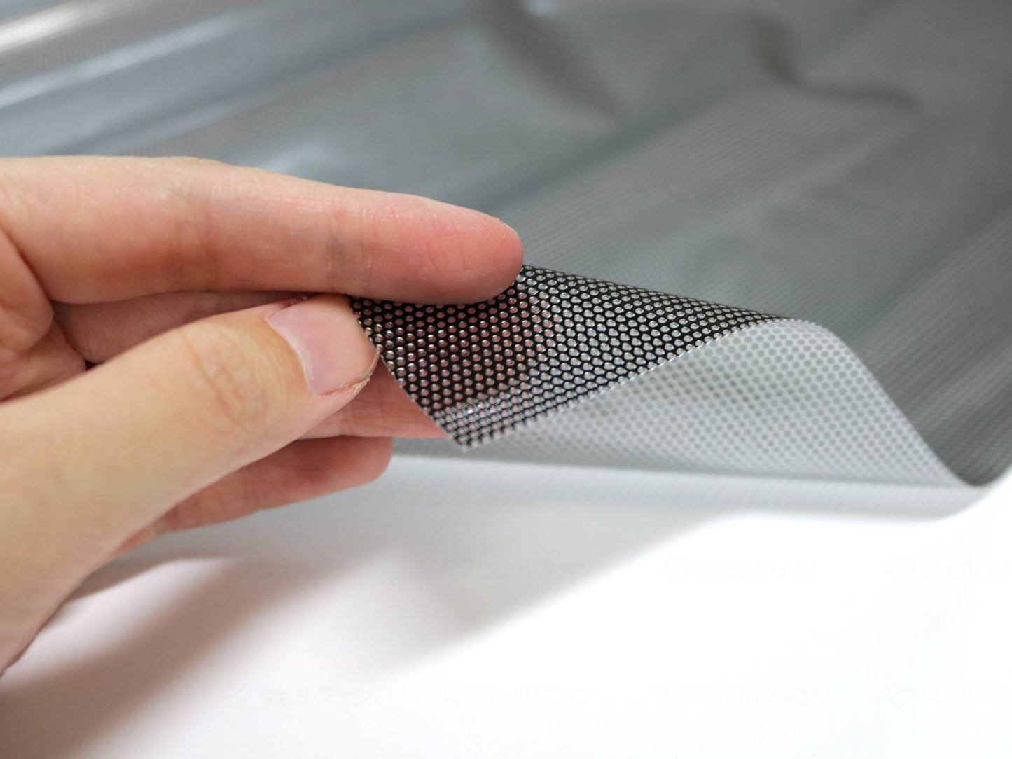 메이와 그라비아 창 붙여 쉬트