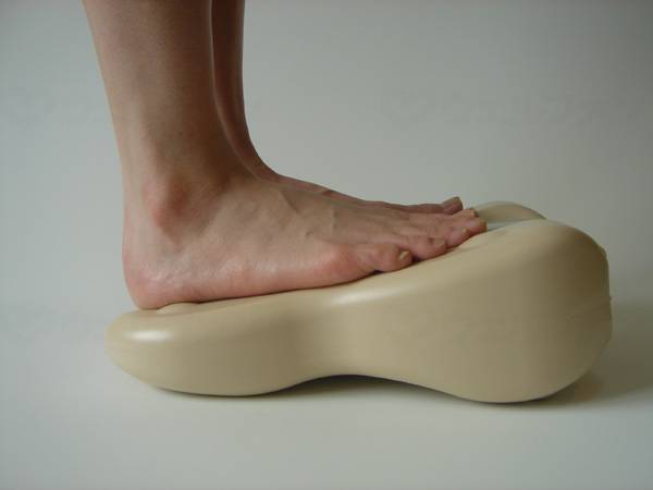 ﾀﾝｹﾞｶｶﾞｸｺｳｷﾞｮｳ快適健康ｸﾞｯｽﾞ　ﾘﾗｯｸｽﾋﾞｽﾞ(ｶﾊﾞｰ付) ﾍﾞｰｼﾞｭ