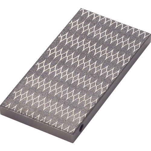 TRUSCO Chip Stone 100X50X8 for Rough Finishing #170 S-2-170 1 pc