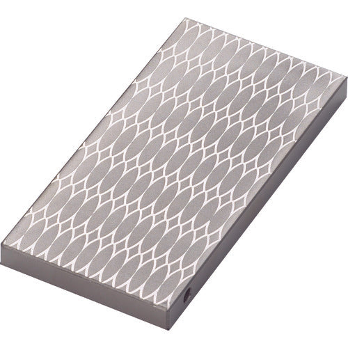 TRUSCO 칩스톤 100X50X8 마무리용 #700 S-2-700 1개