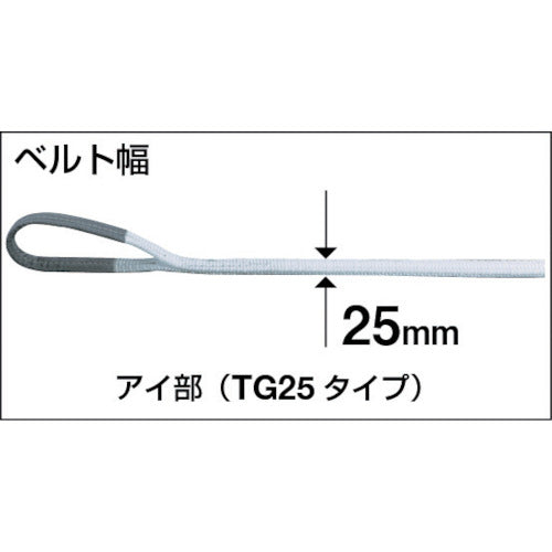 ＴＲＵＳＣＯ　ベルトスリング　ＪＩＳ１等級　化学薬品用　２５ｍｍＸ１．０ｍ　TG25-10C　1 本