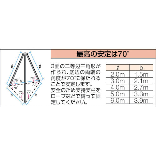 ＴＲＵＳＣＯ　ブロックハンガー用スパイク　10TH-03S　1 組