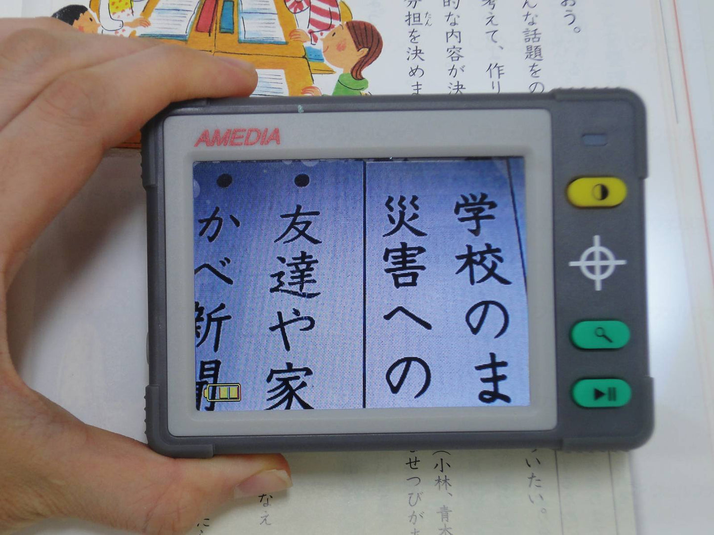 아미디아 테레르