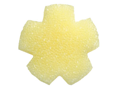 Mouth Pure Oral Care Sponge Plastic Axis 500 Pieces / L 1 Box