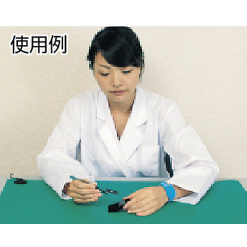 CUSTOM 정전 제거 기기 AS-107 1개