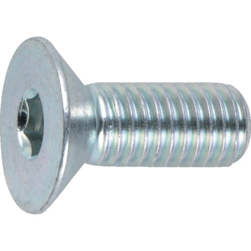 TRUSCO Hexagonal Socket Flat Head Bolt Trivalent White Full Thread M8 x 25 Pack of 10 B773-0825 1 PK