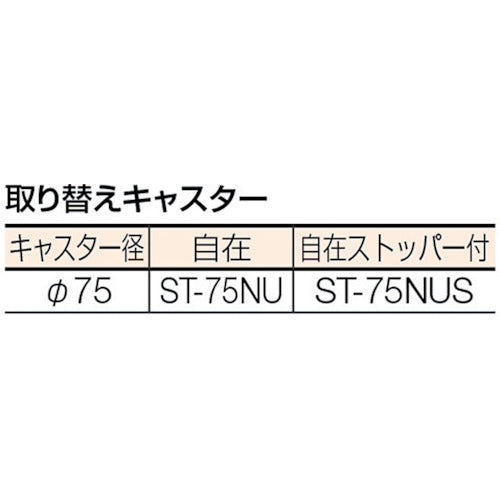ＴＲＵＳＣＯ　コンビネーションワゴン　６４３Ｘ４２７ＸＨ８８０　２段引出付　TCW-81B1　1 台