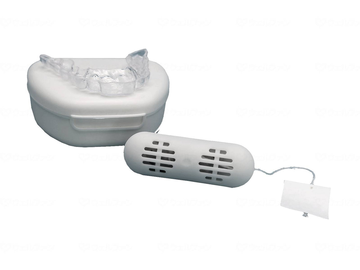 제너 라이즈 에지노 팬 칫솔용 케이스