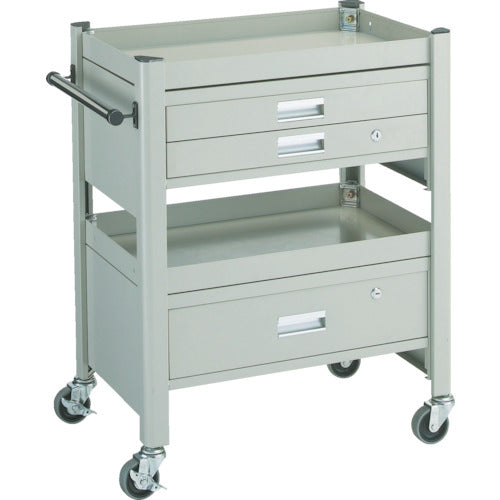 ＴＲＵＳＣＯ　コンビネーションワゴン　６４３Ｘ４２７ＸＨ８８０　１段・２段引出付　TCW-81ADE　1 台