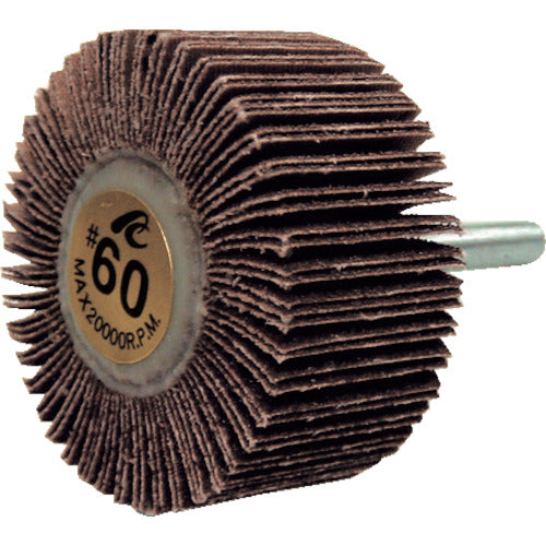 ＡＣ　フラップホイル　軸径６ｍｍ　＃６０　外径５０×幅２５×軸長４０　AF5025-60　5 個