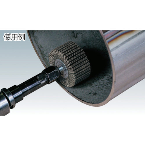 ＡＣ　フラップホイル　軸径６ｍｍ　＃６０　外径６０×幅２５×軸長４０　AF6025-60　5 個