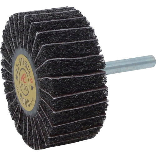 AC 스코어라이트 호일 M 축경 6mm #100 외경 60×폭 25×축 길이 40 SW6025-M-100 5개