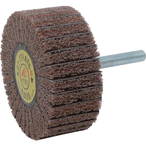 AC 스코어라이트 호일 M 축경 6mm #180 외경 60×폭 25×축 길이 40 SW6025-M-180 5개